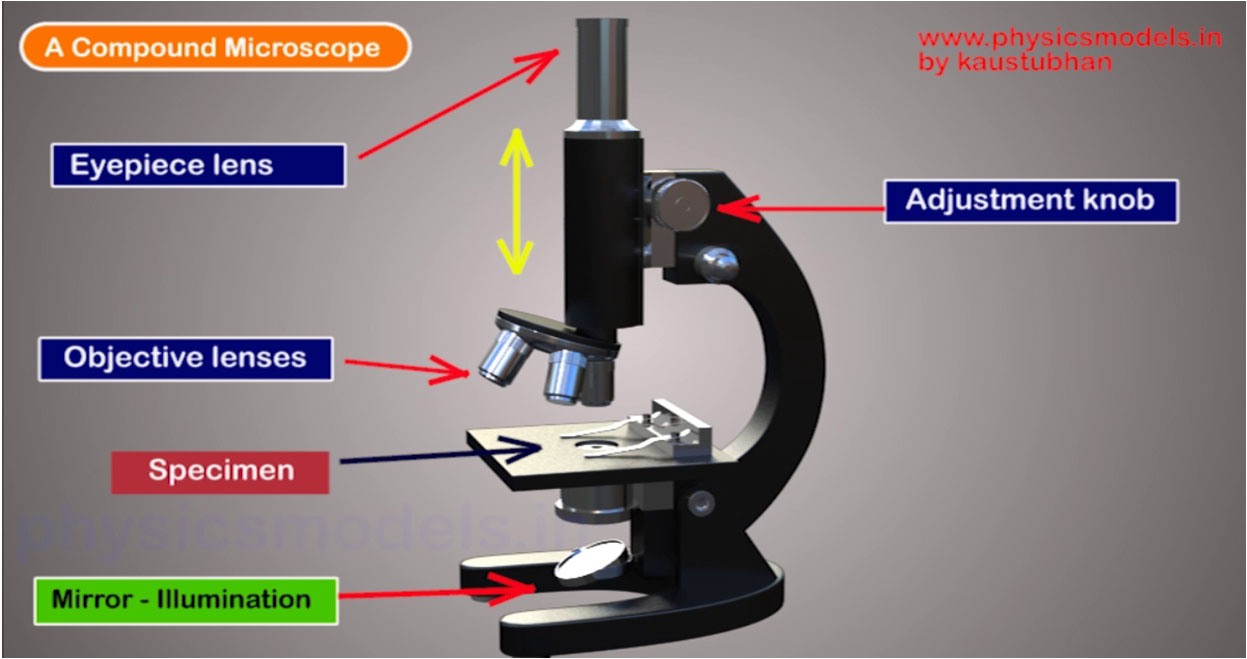 telescope_and_microscope telescope_and_microscope